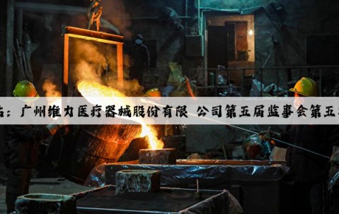 Kaiyun官方网站：广州维力医疗器械股份有限 公司第五届监事会第五次会议决议公告