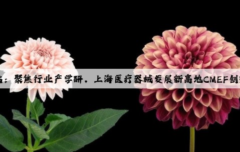 Kaiyun官方网站：聚焦行业产学研，上海医疗器械发展新高地CMEF创新论坛在沪举行