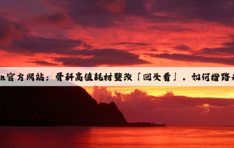 Kaiyun官方网站：骨科高值耗材整改「回头看」，如何指路未来？